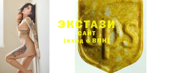 МДПВ Вяземский